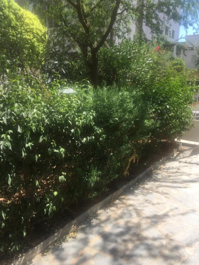 La Vie En Rose Studio,Close To Beach, Paleo Faliro Athens Exterior photo